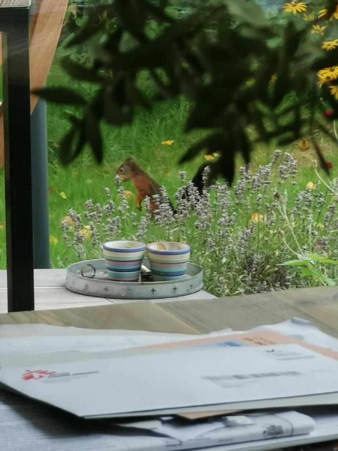Scrab&Ble Ecologische Gastenkamers Bornem Kültér fotó